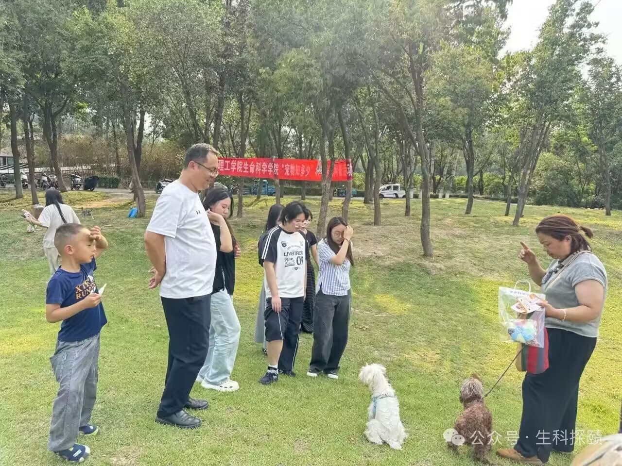 633deeafed3c687858af87e179144ddc_720.png