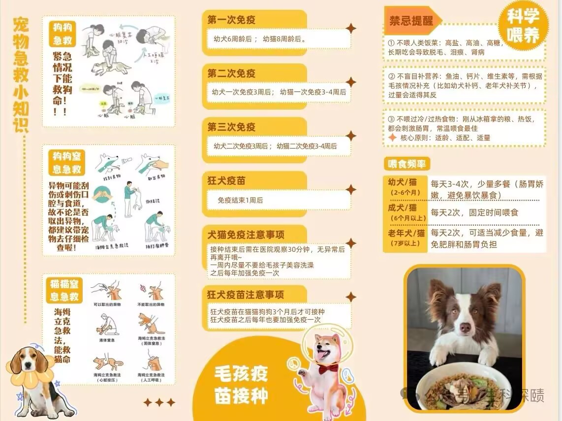 6cdc4d70841d75d70c48ec9c8364e100_720.png