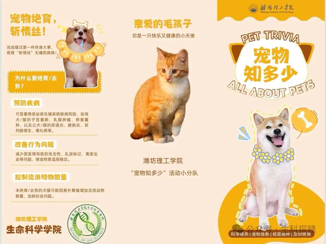 88c8aebc7bd2bb2725530b2e7bce21cc_720.png